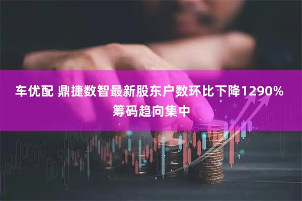 车优配 鼎捷数智最新股东户数环比下降1290% 筹码趋向集中