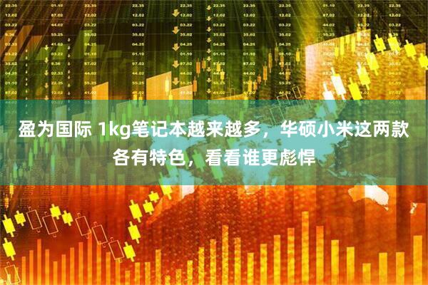盈为国际 1kg笔记本越来越多，华硕小米这两款各有特色，看看谁更彪悍