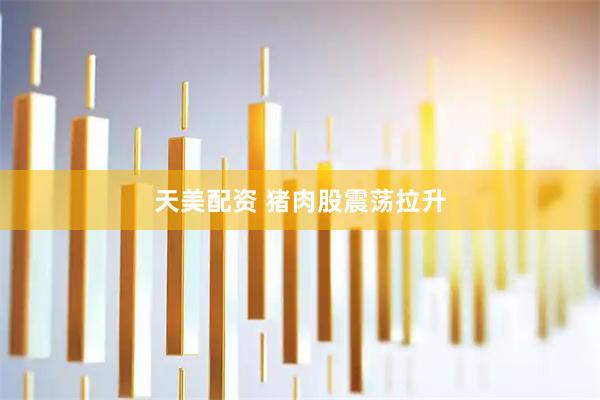 天美配资 猪肉股震荡拉升