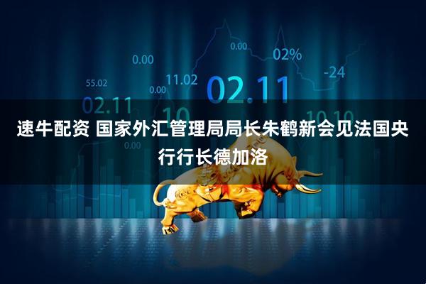 速牛配资 国家外汇管理局局长朱鹤新会见法国央行行长德加洛