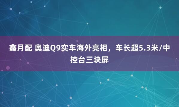 鑫月配 奥迪Q9实车海外亮相，车长超5.3米/中控台三块屏