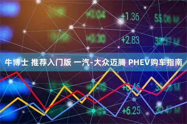 牛博士 推荐入门版 一汽-大众迈腾 PHEV购车指南