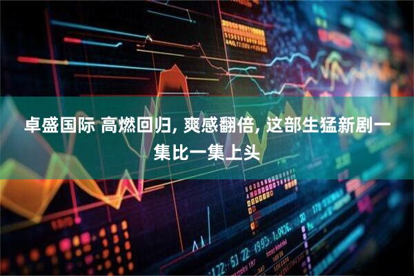 卓盛国际 高燃回归, 爽感翻倍, 这部生猛新剧一集比一集上头